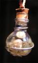 magic_vial___twilight_pendant_by_izile-d66xil81.jpg