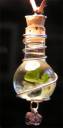 Magic_Vial___Ginkgo_by_Izile1.jpg