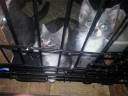 cats4.jpg