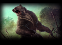 Bear 1.png