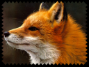 NadejaFoxStamp.png