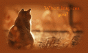 ug0086de_autumn_cat_by_hetorakelt-d6qbeuu.gif