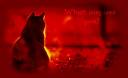 Red Kitty.jpg