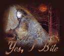 susan_seddon_boulet_shaman_spider_woman.jpg