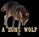 red_wolf_stock_62_by_hotnstock-d5syqfb.png