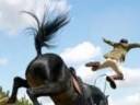 unhorse.jpg