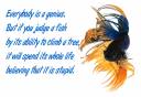 fish.jpg
