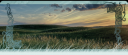 Dinah_Header.png
