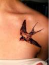 sparrow tattoo.JPG