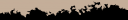 tigers b.png