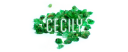 Cecily boxcode.png