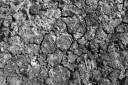 cracked-earth-texture.jpg