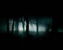 Dark-Forest.jpeg