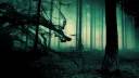 Creepy-Dark-Fog-In-Gothic-Forest-Wallpaper-364x204.jpg