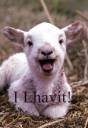 I Lhavit!.jpg