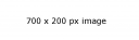 200x700px.png