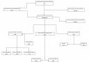 DoM Flowchart.JPG