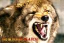COYOTE Intervention... jokes.jpg