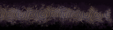 Zandelia new lower.png