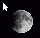 moon cursor.gif