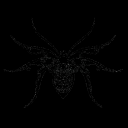 Spiderclean.png