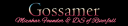 pinkgoss.png