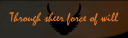 boxcode_RF_bottom2.png