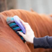 Horsemanship.png