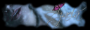 signature.png