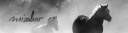 Mizahar-banner-2.jpg
