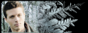 z_winter_header.png