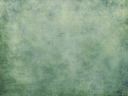 gwin bg2.png