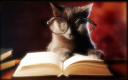 Cat book.png