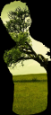 Tree sill.png