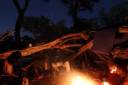 campfire.jpeg