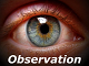 Observation.png