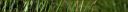 grass_banner_03.png