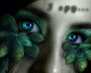 gradinggreen.jpg