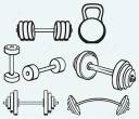 Dumbells.jpg