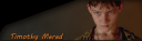 boxcode_RF_top2.png