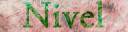 Nivel Banner 2.jpg