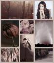 collage.jpg
