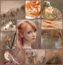 collage.jpg