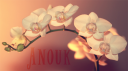anoukwide.png