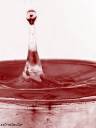 anti-natmister - blood kl.jpg
