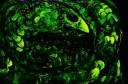 0cb5b2a8-83ce-47c2-ba55-d2edf4b8db78_zpspddpfukk.JPG