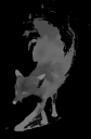 greyfox2.png