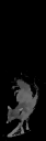 greyfox2.png