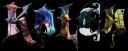 Kalea.png