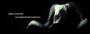 retic-sig-new.png